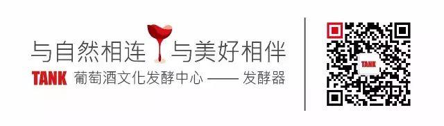 小学堂 I 这是酿酒葡萄前半生的故事~
